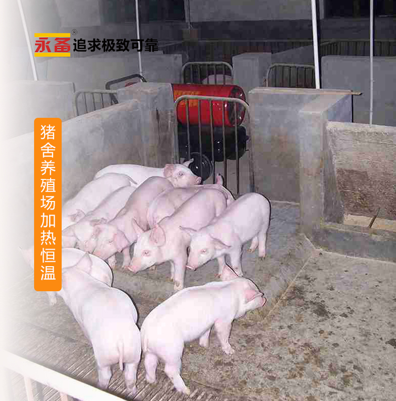 ������ֳ��ȡů�������� �����ȷ�� DH40